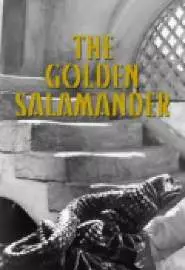 Золотая саламандра - постер