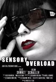 Sensory Overload - постер