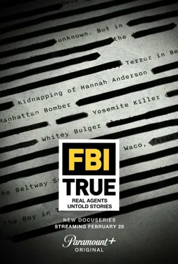 Реальное ФБР - постер