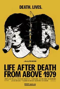 Death from Above 1979: A Fly in Amber - постер