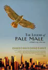 The Legend of Pale Male - постер