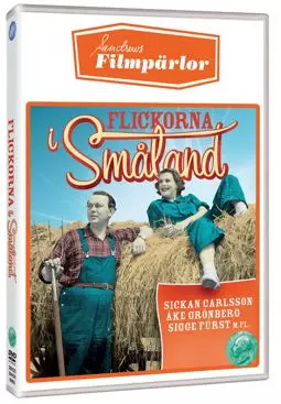 Flickorna i Småland - постер