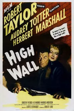 Высокая стена - постер