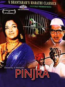 Pinjra - постер
