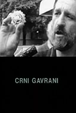 Crni gavrani - постер