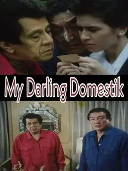 My Darling Domestik - постер