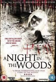 Ночь в лесу - постер