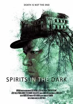 Spirits in the Dark - постер
