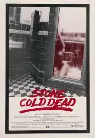 Ледяная смерть - постер