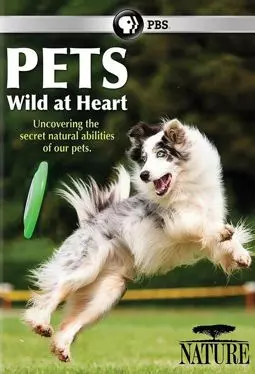 Pets: Wild at Heart - постер