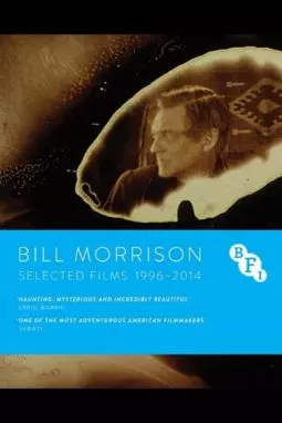 Who by Water - постер