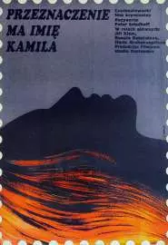 Osud jménem Kamila - постер