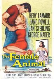 The Female Animal - постер