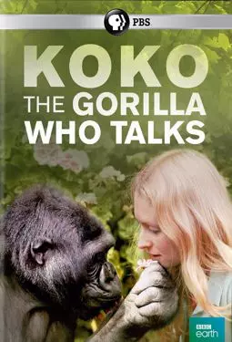 Коко: Горилла, говорящая с людьми - постер