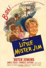 Little Mister Jim - постер