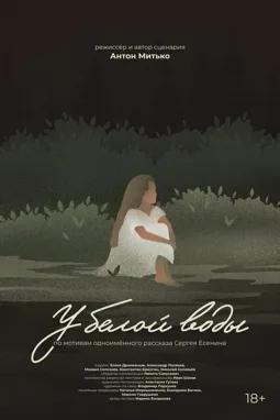 У белой воды - постер
