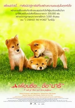 История Мари и трех щенков - постер