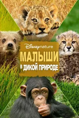 Малыши в дикой природе - постер