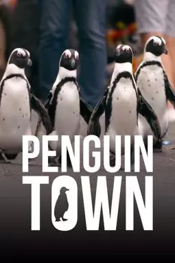 Город пингвинов - постер