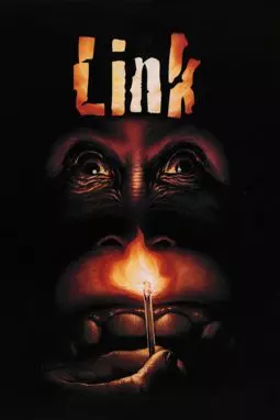 Линк - постер