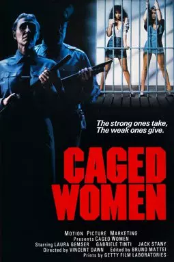 Насилие в женской тюрьме - постер