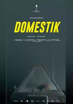 Domestik - постер