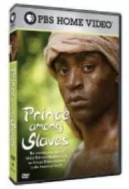 Prince Among Slaves - постер