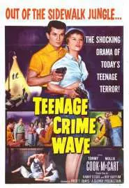 Teen-Age Crime Wave - постер