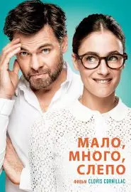 Мало, много, слепо - постер