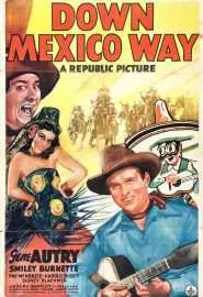На пути в Мексику - постер
