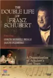 The Temptation of Franz Schubert - постер