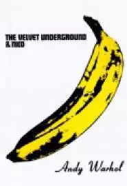 The Velvet Underground and ico - постер