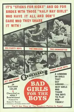 Bad Girls for the Boys - постер