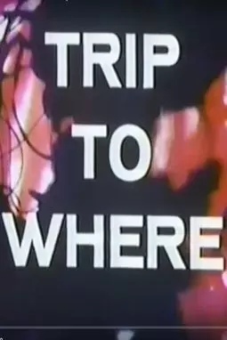 LSD: Trip to Where? - постер