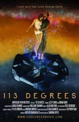 113 градусов - постер