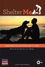 Shelter Me - постер
