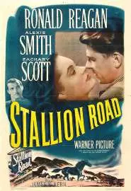 Stallion Road - постер