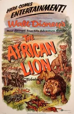 Африканский лев - постер