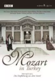 Mozart in Turkey - постер