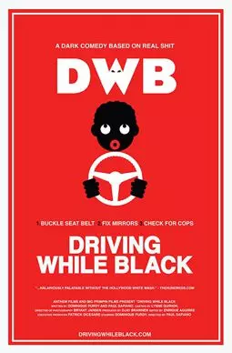 Driving While Black - постер