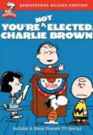 Он хулиган, Чарли Браун - постер