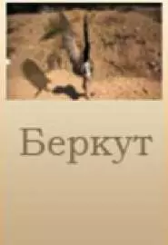 Беркут - постер