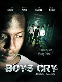 Boys Cry - постер