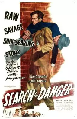Search for Danger - постер