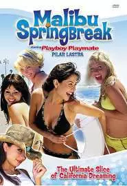 Malibu Spring Break - постер