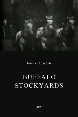 Buffalo Stockyards - постер