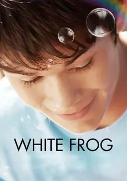 Белая лягушка - постер