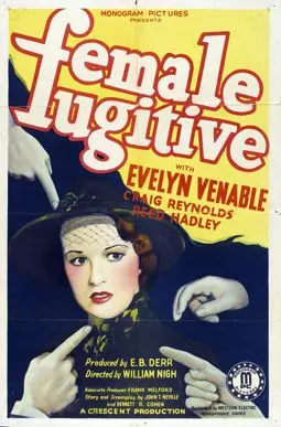 Female Fugitive - постер