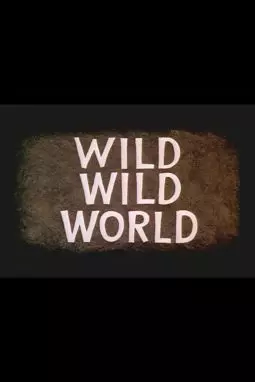 Wild Wild World - постер