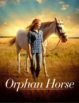 Orphan Horse - постер